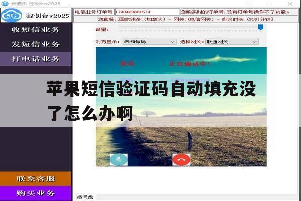 苹果短信验证码自动填充没了怎么办啊 苹果短信验证码自动填充没了怎么办啊