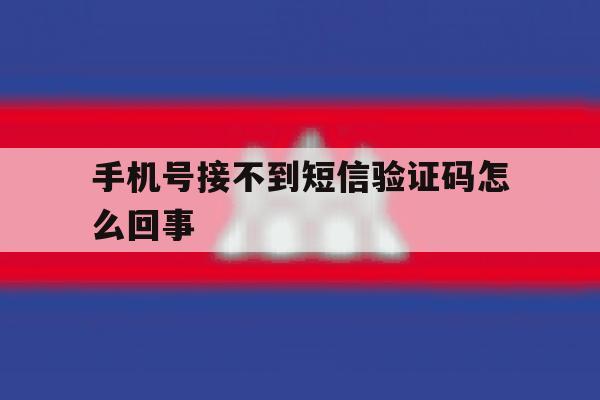 手机号接不到短信验证码怎么回事 手机号接不到短信验证码怎么回事