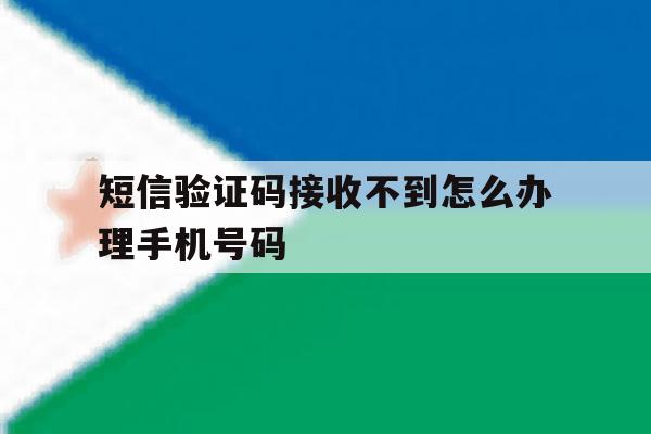 短信验证码接收不到怎么办理手机号码 短信验证码接收不到怎么办理手机号码