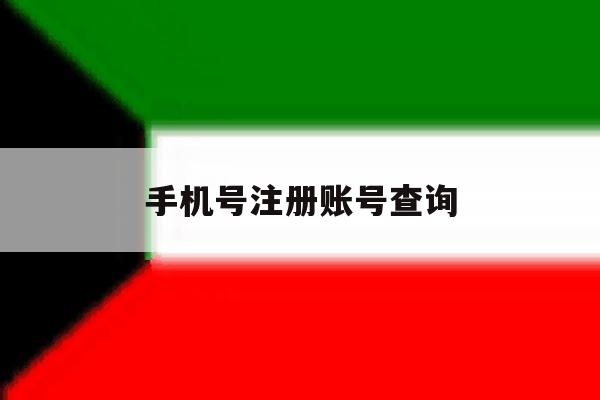 手机号注册账号查询