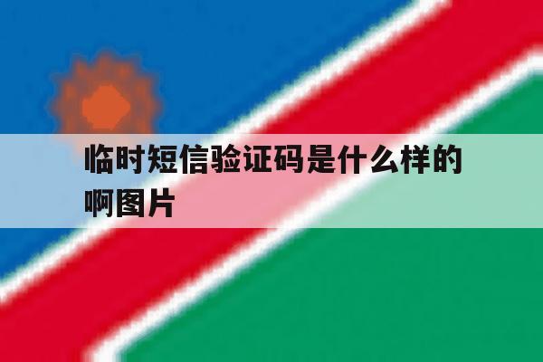 临时短信验证码是什么样的啊图片 临时短信验证码是什么样的啊图片