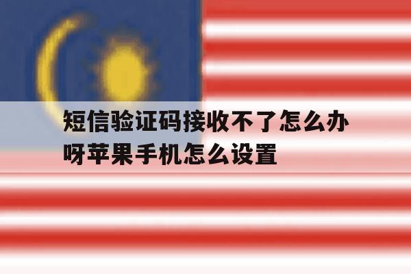 关于短信验证码接收不了怎么办呀苹果手机怎么设置的信息 关于短信验证码接收不了怎么办呀苹果手机怎么设置的信息