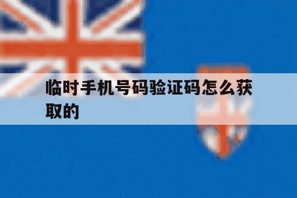 临时手机号码验证码怎么获取的 临时手机号码验证码怎么获取的