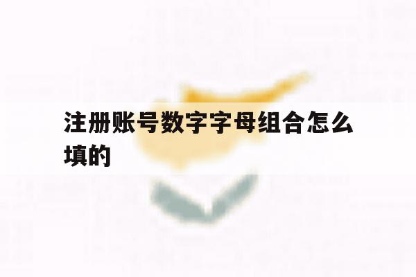 注册账号数字字母组合怎么填的