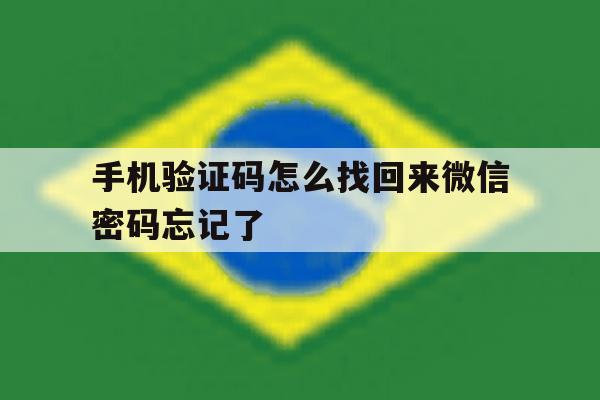 手机验证码怎么找回来微信密码忘记了 手机验证码怎么找回来微信密码忘记了