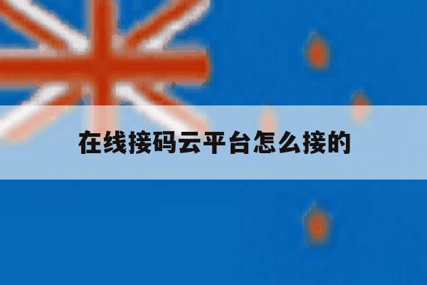 在线接码云平台怎么接的 在线接码云平台怎么接的