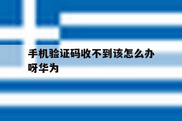 手机验证码收不到该怎么办呀华为 手机验证码收不到该怎么办呀华为