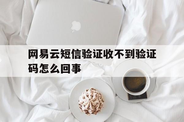 网易云短信验证收不到验证码怎么回事 网易云短信验证收不到验证码怎么回事