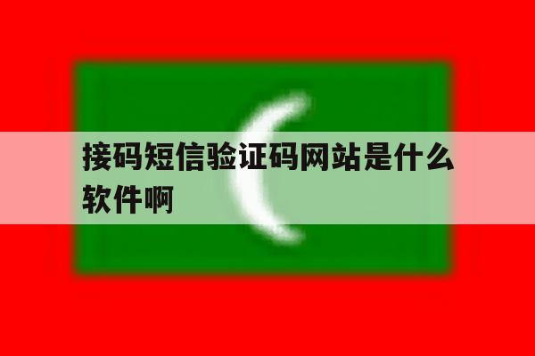 接码短信验证码网站是什么软件啊 接码短信验证码网站是什么软件啊