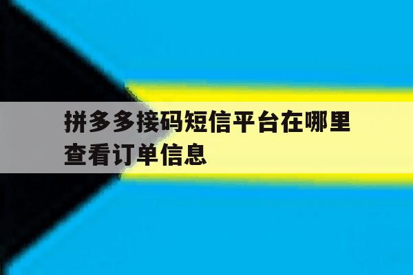 拼多多接码短信平台在哪里查看订单信息 拼多多接码短信平台在哪里查看订单信息