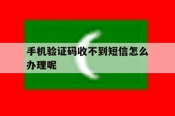 手机验证码收不到短信怎么办理呢 手机验证码收不到短信怎么办理呢