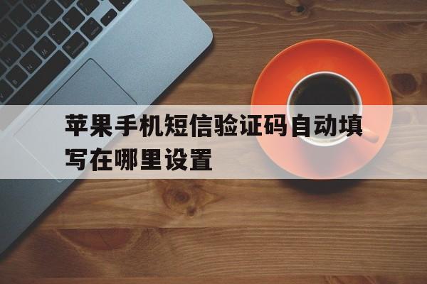 苹果手机短信验证码自动填写在哪里设置 苹果手机短信验证码自动填写在哪里设置