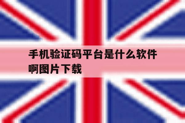 手机验证码平台是什么软件啊图片下载 手机验证码平台是什么软件啊图片下载