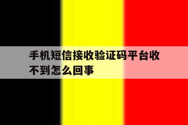 手机短信接收验证码平台收不到怎么回事 手机短信接收验证码平台收不到怎么回事