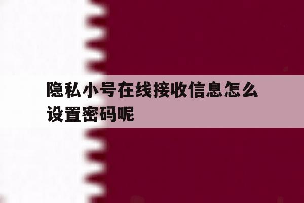 隐私小号在线接收信息怎么设置密码呢 隐私小号在线接收信息怎么设置密码呢