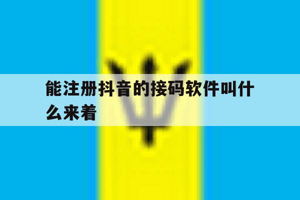 能注册抖音的接码软件叫什么来着