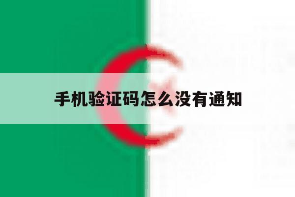 手机验证码怎么没有通知 手机验证码怎么没有通知