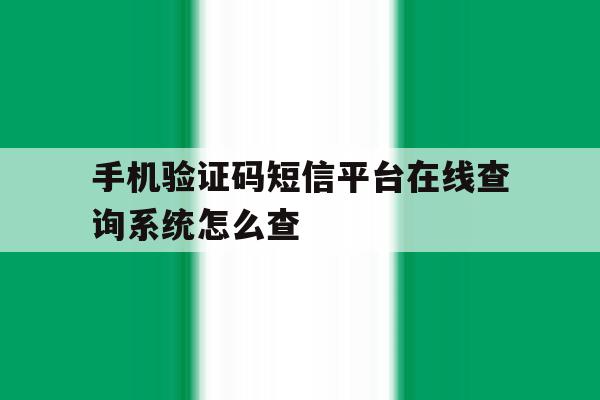 手机验证码短信平台在线查询系统怎么查 手机验证码短信平台在线查询系统怎么查