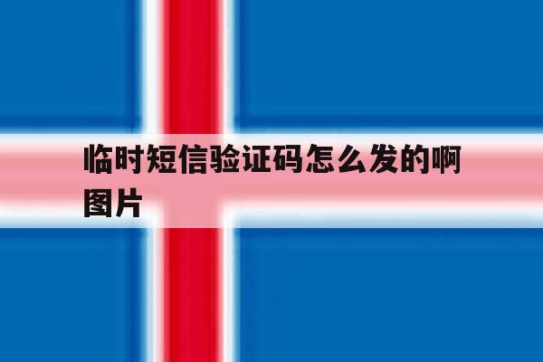 临时短信验证码怎么发的啊图片 临时短信验证码怎么发的啊图片