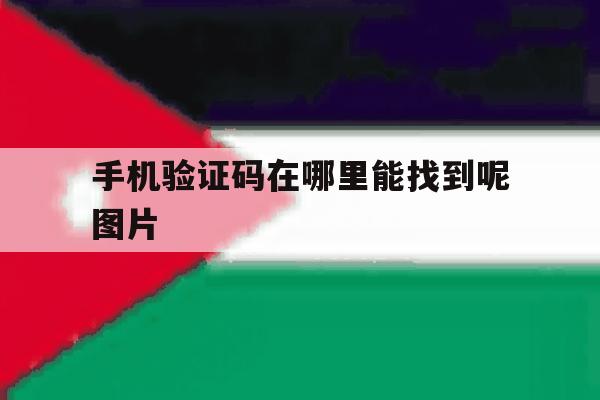 手机验证码在哪里能找到呢图片 手机验证码在哪里能找到呢图片