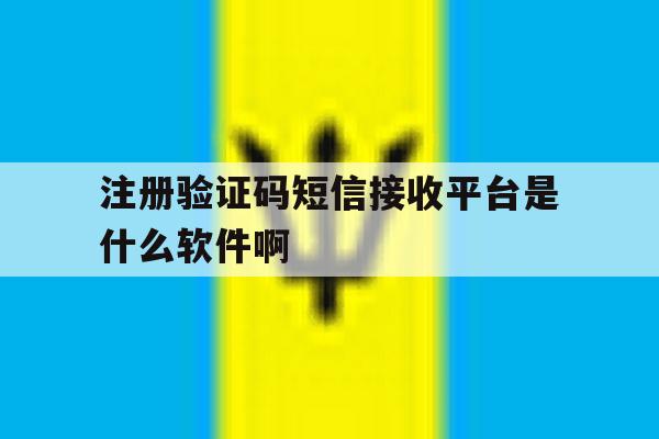 注册验证码短信接收平台是什么软件啊的简单介绍